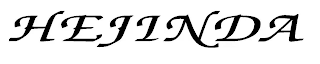 HEJINDA logo