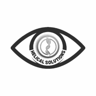 HELICAL SOLUTIONS logo