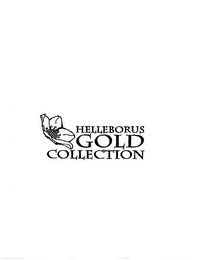 HELLEBORUS GOLD COLLECTION