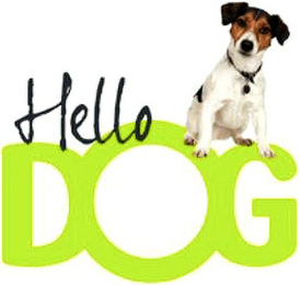 HELLO DOG logo