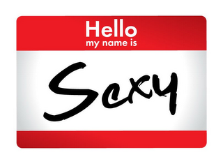 HELLO MY NAME IS SEXY logo
