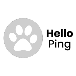 HELLO PING logo