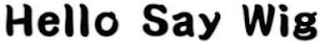 HELLO SAY WIG logo