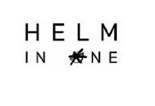 HELM IN ONE logo