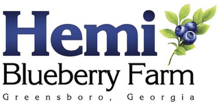 HEMI BLUEBERRY FARM GREENSBORO, GEORGIA logo