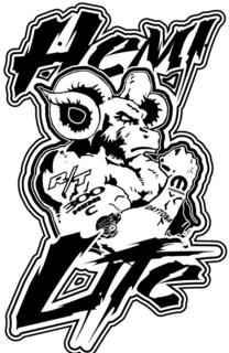 HEMI LIFE R/T 300 HEMI C MOPAR DAYTONA logo