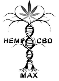 HEMP CBD MAX logo