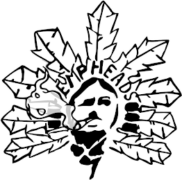 HEMPHEADS logo