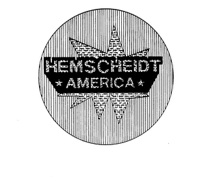 HEMSCHEIDT AMERICA logo