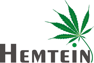 HEMTEIN logo