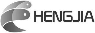HENGJIA logo