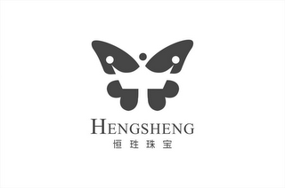 HENGSHENG logo