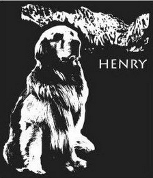 HENRY logo