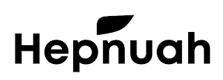 HEPNUAH logo
