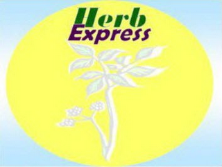 HERB EXPRESS logo