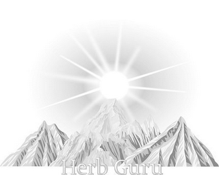 HERB GURU logo