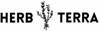 HERB TERRA logo