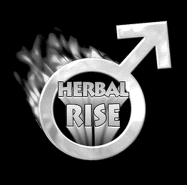 HERBAL RISE logo