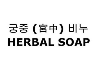 HERBAL SOAP logo