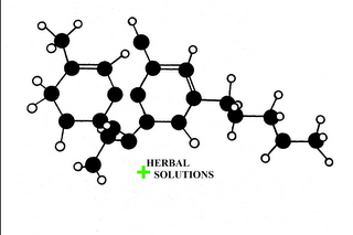 HERBAL SOLUTIONS logo
