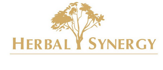 HERBAL SYNERGY logo