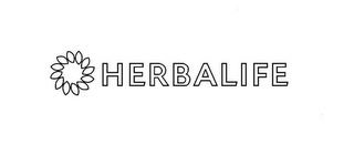 HERBALIFE logo