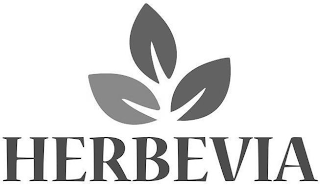 HERBEVIA logo