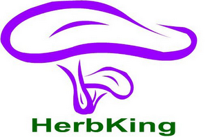 HERBKING logo