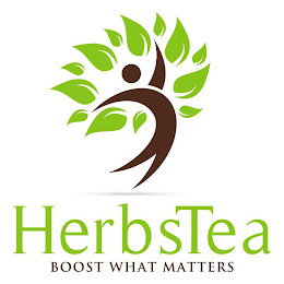 HERBSTEA BOOST WHAT MATTERS logo