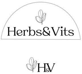 HERBS&VITS H&V logo