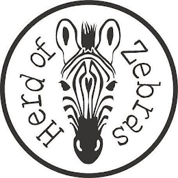 HERD OF ZEBRAS