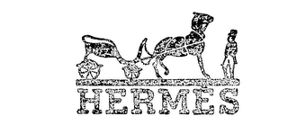 HERMES logo