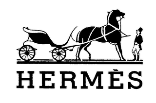 HERMES logo