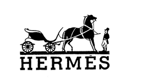 HERMES logo