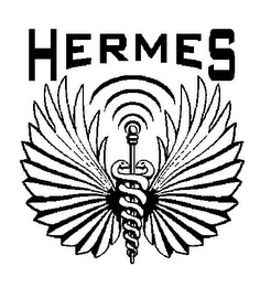 HERMES logo