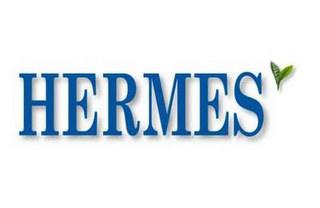 HERMES logo