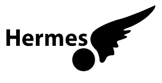 HERMES logo
