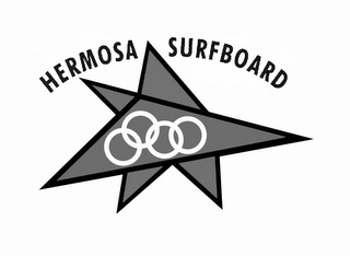 HERMOSA SURFBOARD logo