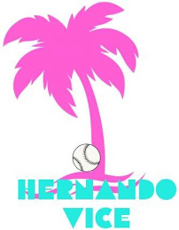 HERNANDO VICE logo