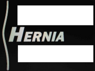 HERNIA logo