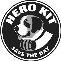 HERO KIT SAVE THE DAY logo