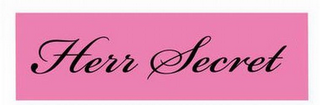 HERR SECRET logo