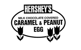 HERSHEY'S MILK CHOCOLATE COVERED CARAMEL & PEANUT EGG logo