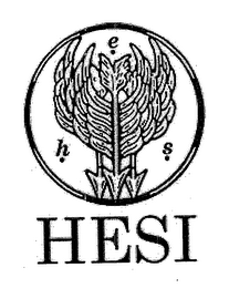 HESI H · E · S · logo