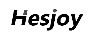 HESJOY logo