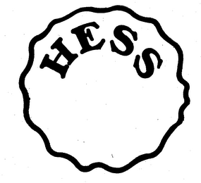 HESS logo