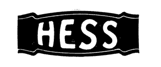 HESS logo