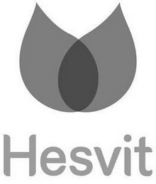 HESVIT logo