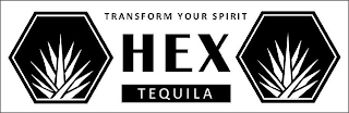 HEX TEQUILA TRANSFORM YOUR SPIRIT logo