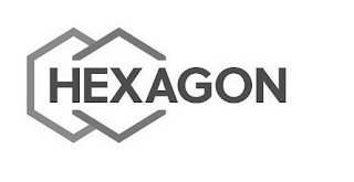 HEXAGON logo